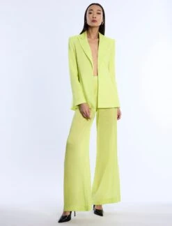 BCBGMAXAZRIA Airy Sheer Textured Pant -BCBGMAXAZRIA Shop 793024 8286 5