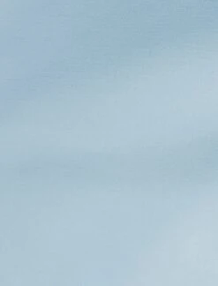 BCBGMAXAZRIA Tailored Straight Leg Pant -BCBGMAXAZRIA Shop 793036 814 6 82f8f9e3 f7d5 46fa 8489 62225b5aa699