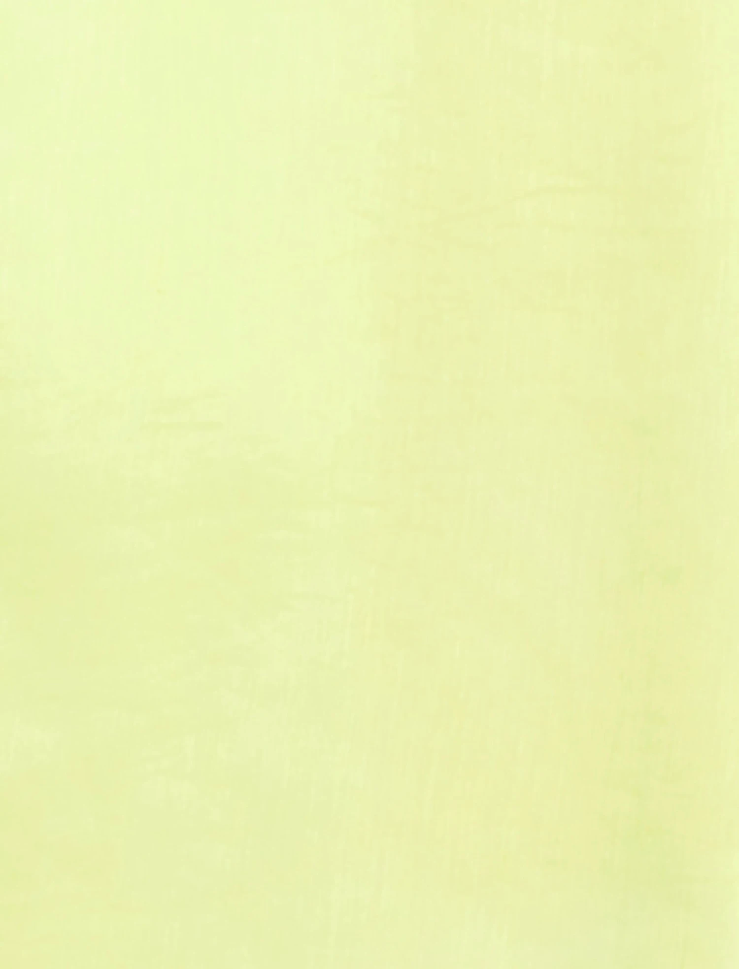 BCBGMAXAZRIA Airy Textured Blazer 7 BCBGMAXAZRIA Airy Textured Blazer - Image 7