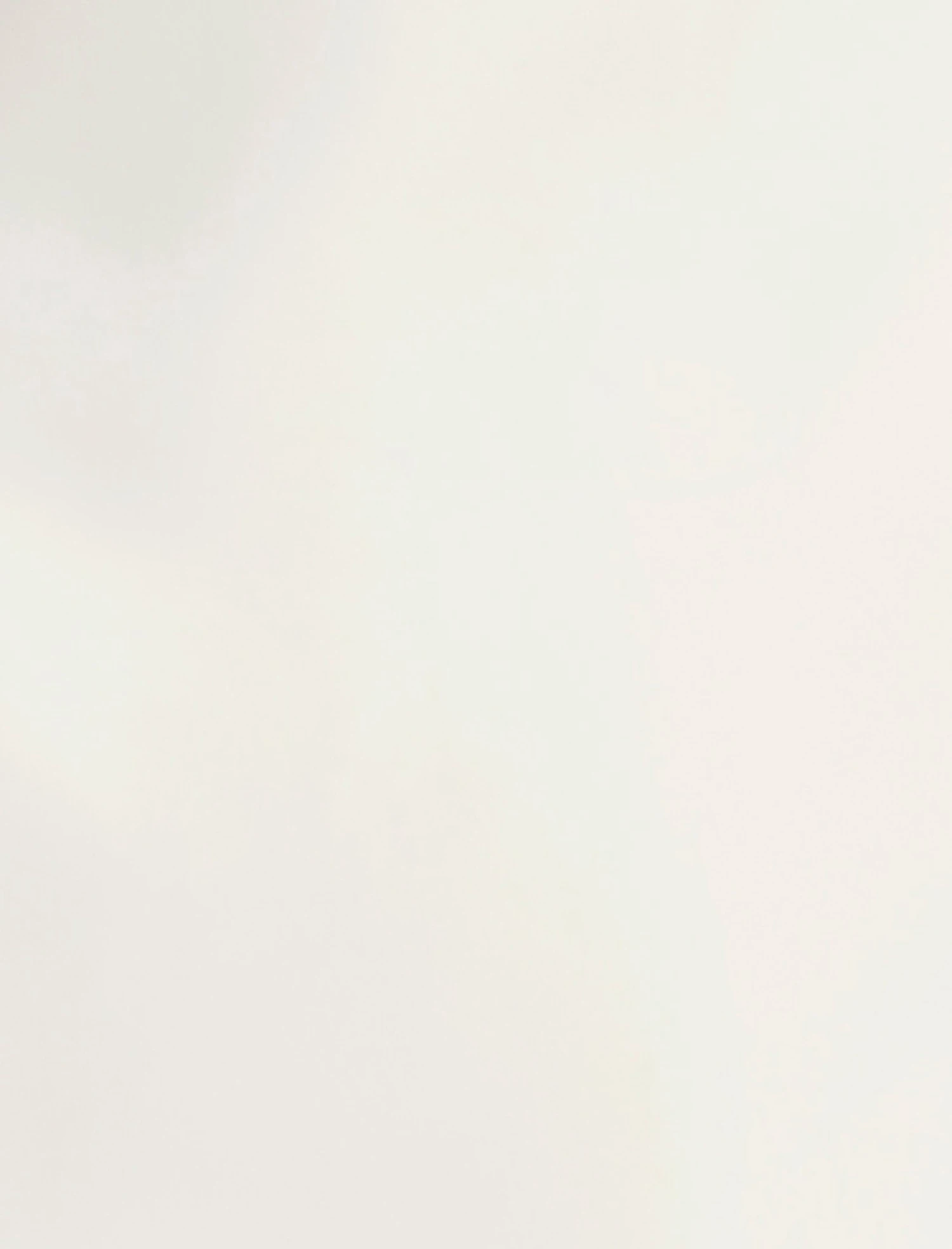 BCBGMAXAZRIA Tailored Jacket 8 BCBGMAXAZRIA Tailored Jacket - Image 8