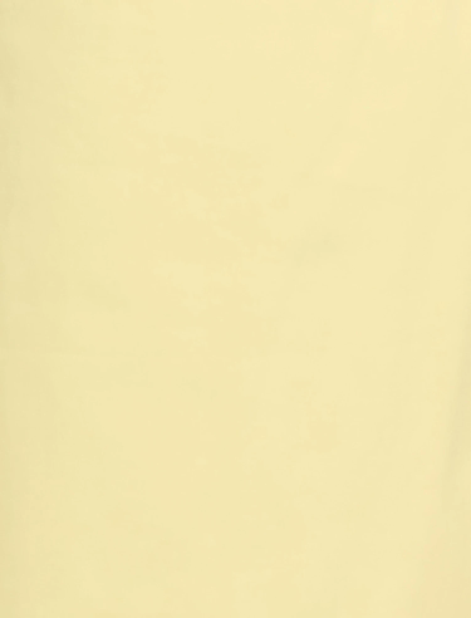 BCBGMAXAZRIA Twill Vest 7 BCBGMAXAZRIA Twill Vest - Image 7