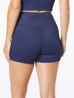 Beach House Sport Karma Swim Shorts - Ribbed Solids 7 Beach House Sport Karma Swim Shorts - Ribbed Solids -BCBGMAXAZRIA Shop H1C008 511 alt01