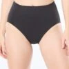 Coco Contours Garnet Princess Seam High Waist Bikini Bottom - Keepsake
